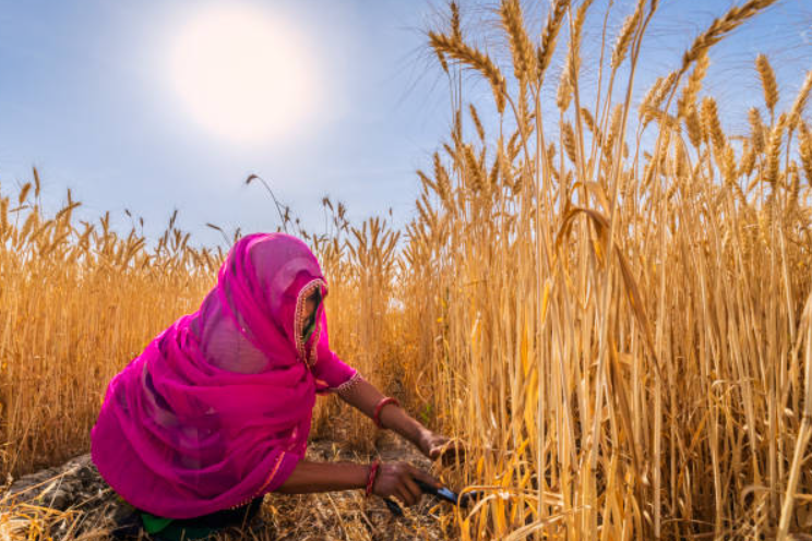 5 Million Women Foundation